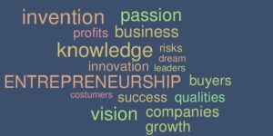 Entrepreneurship is the process of self promotion by developing self enterprise.