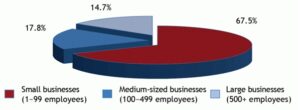 Small Scale enterprise play a big role in economic development