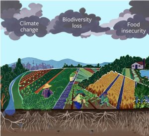 Cloudy whether is a cause of fluctuation in solar energy